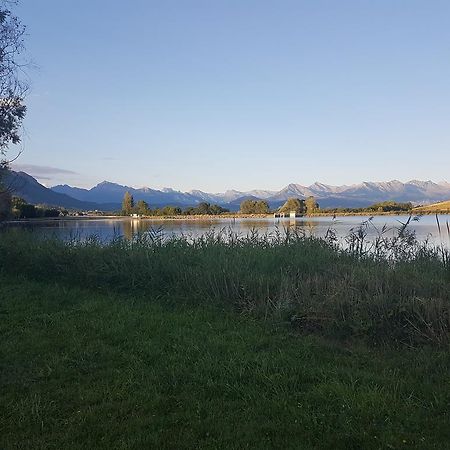 Camping La Motte Flottante La Freissinouse Exterior photo